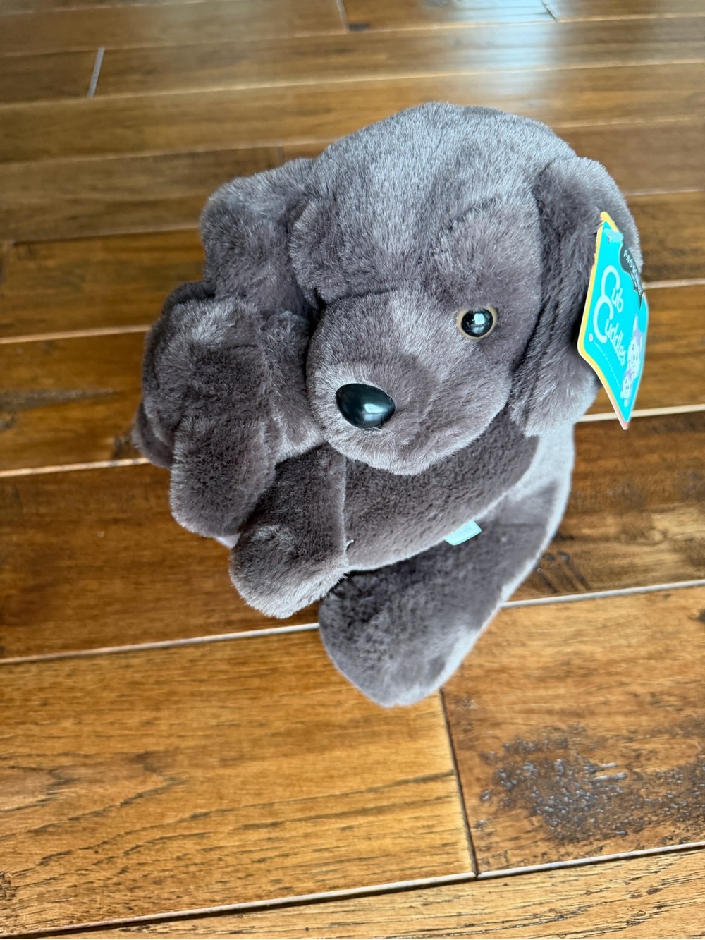 FAO Schwarz  Cub Cuddles Gray Plush Puppy with Tag